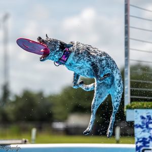 Meet your Posher, Lynda